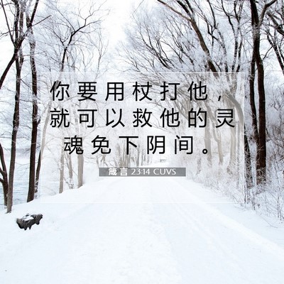 Picture 07 - 箴 言 23:14 CUVS - 你 要 用 杖 打 他 ， 就 可 以 救 他 - Bible Verse Picture