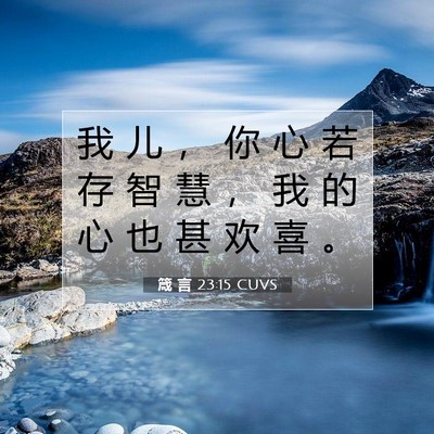 Picture 07 - 箴 言 23:15 CUVS - 我 儿 ， 你 心 若 存 智 慧 ， 我 的 - Bible Verse Picture
