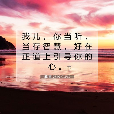 Picture 07 - 箴 言 23:19 CUVS - 我 儿 ， 你 当 听 ， 当 存 智 慧 ， - Bible Verse Picture
