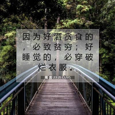 Picture 07 - 箴 言 23:21 CUVS - 因 为 好 酒 贪 食 的 ， 必 致 贫 穷 - Bible Verse Picture