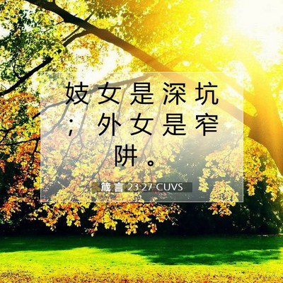 Picture 07 - 箴 言 23:27 CUVS - 妓 女 是 深 坑 ； 外 女 是 窄 阱 - Bible Verse Picture