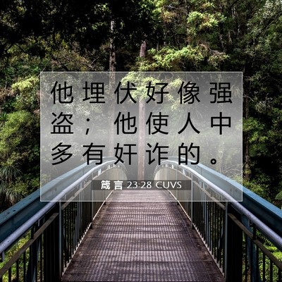 Picture 07 - 箴 言 23:28 CUVS - 他 埋 伏 好 像 强 盗 ； 他 使 人 中 - Bible Verse Picture