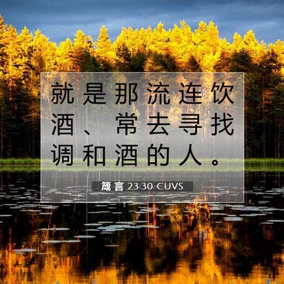 Picture 07 - 箴 言 23:30 CUVS - 就 是 那 流 连 饮 酒 、 常 去 寻 找 - Bible Verse Picture