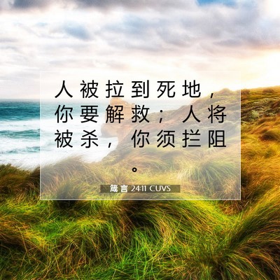 Picture 07 - 箴 言 24:11 CUVS - 人 被 拉 到 死 地 ， 你 要 解 救 ； - Bible Verse Picture