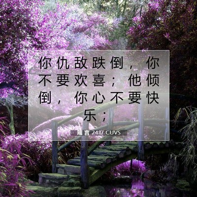 Picture 07 - 箴 言 24:17 CUVS - 你 仇 敌 跌 倒 ， 你 不 要 欢 喜 ； - Bible Verse Picture