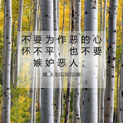 Picture 07 - 箴 言 24:19 CUVS - 不 要 为 作 恶 的 心 怀 不 平 ， 也 - Bible Verse Picture