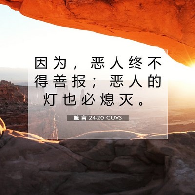 Picture 07 - 箴 言 24:20 CUVS - 因 为 ， 恶 人 终 不 得 善 报 ； 恶 - Bible Verse Picture