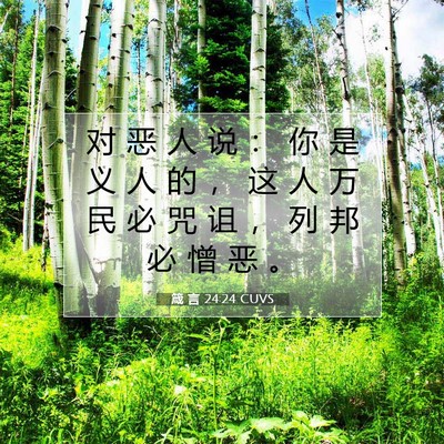 Picture 07 - 箴 言 24:24 CUVS - 对 恶 人 说 ： 你 是 义 人 的 ， 这 - Bible Verse Picture
