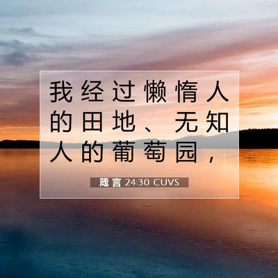 Picture 07 - 箴 言 24:30 CUVS - 我 经 过 懒 惰 人 的 田 地 、 无 知 - Bible Verse Picture