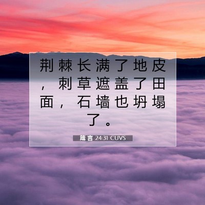 Picture 07 - 箴 言 24:31 CUVS - 荆 棘 长 满 了 地 皮 ， 刺 草 遮 盖 - Bible Verse Picture