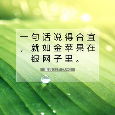 Picture 07 - 箴 言 25:11 CUVS - 一 句 话 说 得 合 宜 ， 就 如 金 苹 - Bible Verse Picture