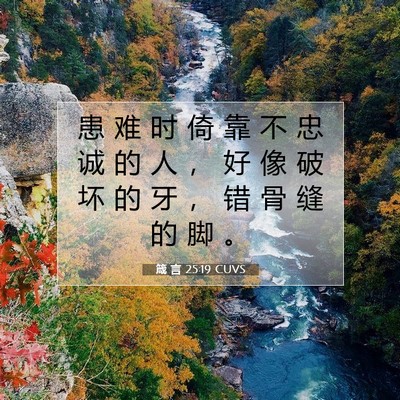 Picture 07 - 箴 言 25:19 CUVS - 患 难 时 倚 靠 不 忠 诚 的 人 ， 好 - Bible Verse Picture