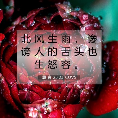 Picture 07 - 箴 言 25:23 CUVS - 北 风 生 雨 ， 谗 谤 人 的 舌 头 也 - Bible Verse Picture