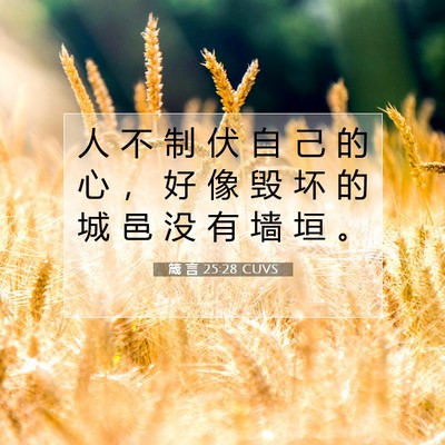 Picture 07 - 箴 言 25:28 CUVS - 人 不 制 伏 自 己 的 心 ， 好 像 毁 - Bible Verse Picture