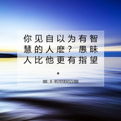 Picture 07 - 箴 言 26:12 CUVS - 你 见 自 以 为 有 智 慧 的 人 麽 ？ - Bible Verse Picture