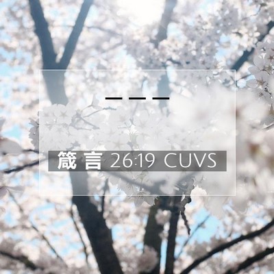 Picture 07 - 箴 言 26:19 CUVS -  - Bible Verse Picture