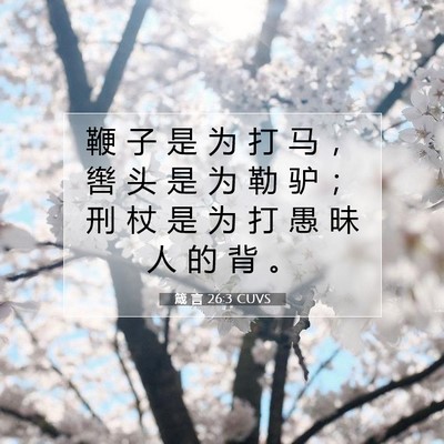 Picture 07 - 箴 言 26:3 CUVS - 鞭 子 是 为 打 马 ， 辔 头 是 为 勒 - Bible Verse Picture