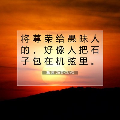 Picture 07 - 箴 言 26:8 CUVS - 将 尊 荣 给 愚 昧 人 的 ， 好 像 人 - Bible Verse Picture