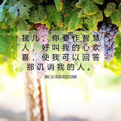 Picture 07 - 箴 言 27:11 CUVS - 我 儿 ， 你 要 作 智 慧 人 ， 好 叫 - Bible Verse Picture