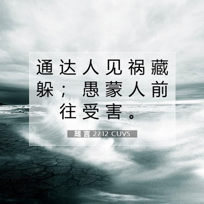 Picture 07 - 箴 言 27:12 CUVS - 通 达 人 见 祸 藏 躲 ； 愚 蒙 人 前 - Bible Verse Picture