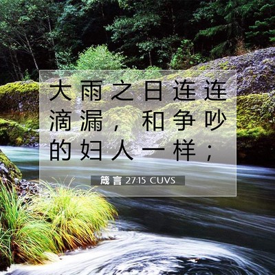 Picture 07 - 箴 言 27:15 CUVS - 大 雨 之 日 连 连 滴 漏 ， 和 争 吵 - Bible Verse Picture