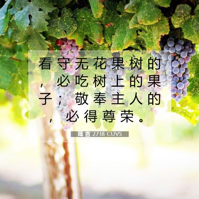 Picture 07 - 箴 言 27:18 CUVS - 看 守 无 花 果 树 的 ， 必 吃 树 上 - Bible Verse Picture