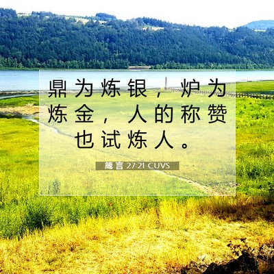 Picture 07 - 箴 言 27:21 CUVS - 鼎 为 炼 银 ， 炉 为 炼 金 ， 人 的 - Bible Verse Picture
