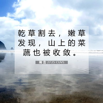 Picture 07 - 箴 言 27:25 CUVS - 乾 草 割 去 ， 嫩 草 发 现 ， 山 上 - Bible Verse Picture