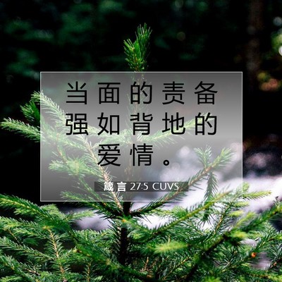 Picture 07 - 箴 言 27:5 CUVS - 当 面 的 责 备 强 如 背 地 的 爱 情 - Bible Verse Picture