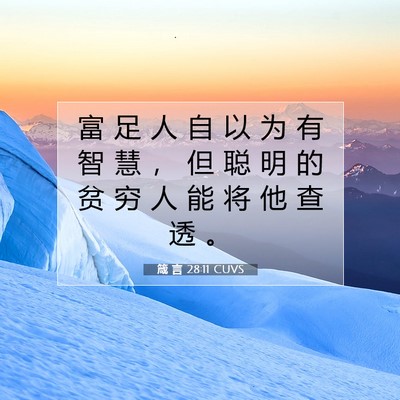 Picture 07 - 箴 言 28:11 CUVS - 富 足 人 自 以 为 有 智 慧 ， 但 聪 - Bible Verse Picture