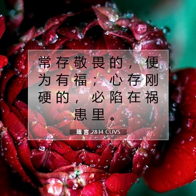 Picture 07 - 箴 言 28:14 CUVS - 常 存 敬 畏 的 ， 便 为 有 福 ； 心 - Bible Verse Picture