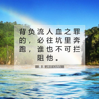 Picture 07 - 箴 言 28:17 CUVS - 背 负 流 人 血 之 罪 的 ， 必 往 坑 - Bible Verse Picture
