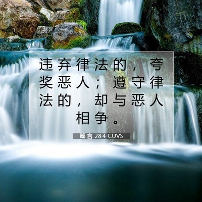 Picture 07 - 箴 言 28:4 CUVS - 违 弃 律 法 的 ， 夸 奖 恶 人 ； 遵 - Bible Verse Picture