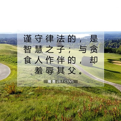 Picture 07 - 箴 言 28:7 CUVS - 谨 守 律 法 的 ， 是 智 慧 之 子 ； - Bible Verse Picture