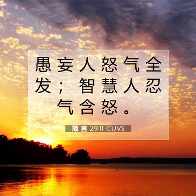 Picture 07 - 箴 言 29:11 CUVS - 愚 妄 人 怒 气 全 发 ； 智 慧 人 忍 - Bible Verse Picture