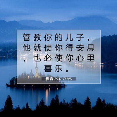 Picture 07 - 箴 言 29:17 CUVS - 管 教 你 的 儿 子 ， 他 就 使 你 得 - Bible Verse Picture