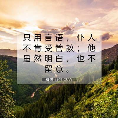 Picture 07 - 箴 言 29:19 CUVS - 只 用 言 语 ， 仆 人 不 肯 受 管 教 - Bible Verse Picture