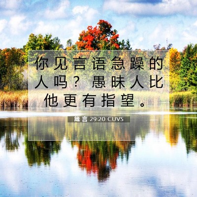 Picture 07 - 箴 言 29:20 CUVS - 你 见 言 语 急 躁 的 人 吗 ？ 愚 昧 - Bible Verse Picture