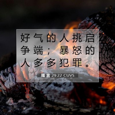 Picture 07 - 箴 言 29:22 CUVS - 好 气 的 人 挑 启 争 端 ； 暴 怒 的 - Bible Verse Picture