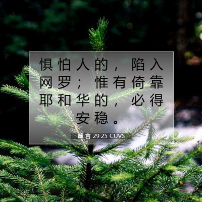 Picture 07 - 箴 言 29:25 CUVS - 惧 怕 人 的 ， 陷 入 网 罗 ； 惟 有 - Bible Verse Picture