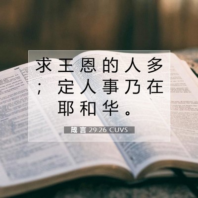 Picture 07 - 箴 言 29:26 CUVS - 求 王 恩 的 人 多 ； 定 人 事 乃 在 - Bible Verse Picture