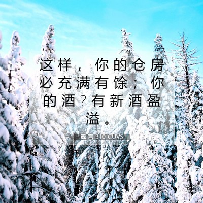 Picture 07 - 箴 言 3:10 CUVS - 这 样 ， 你 的 仓 房 必 充 满 有 馀 - Bible Verse Picture