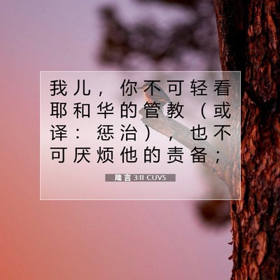 Picture 07 - 箴 言 3:11 CUVS - 我 儿 ， 你 不 可 轻 看 耶 和 华 的 - Bible Verse Picture
