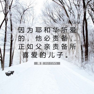 Picture 07 - 箴 言 3:12 CUVS - 因 为 耶 和 华 所 爱 的 ， 他 必 责 - Bible Verse Picture