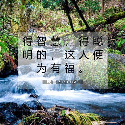 Picture 07 - 箴 言 3:13 CUVS - 得 智 慧 ， 得 聪 明 的 ， 这 人 便 - Bible Verse Picture