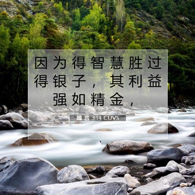 Picture 07 - 箴 言 3:14 CUVS - 因 为 得 智 慧 胜 过 得 银 子 ， 其 - Bible Verse Picture