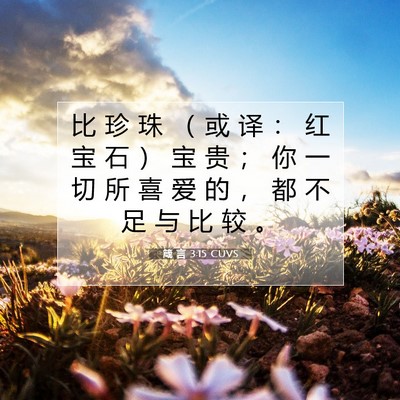 Picture 07 - 箴 言 3:15 CUVS - 比 珍 珠 （ 或 译 ： 红 宝 石 ） 宝 - Bible Verse Picture
