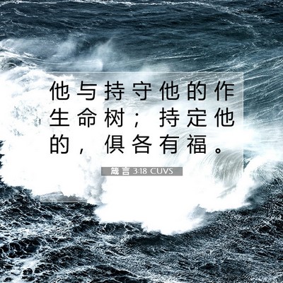 Picture 07 - 箴 言 3:18 CUVS - 他 与 持 守 他 的 作 生 命 树 ； 持 - Bible Verse Picture