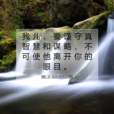 Picture 07 - 箴 言 3:21 CUVS - 我 儿 ， 要 谨 守 真 智 慧 和 谋 略 - Bible Verse Picture