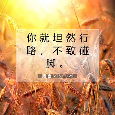 Picture 07 - 箴 言 3:23 CUVS - 你 就 坦 然 行 路 ， 不 致 碰 脚 - Bible Verse Picture